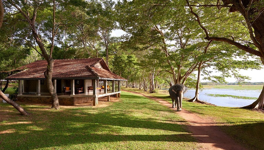 Habarana/Sigiriya