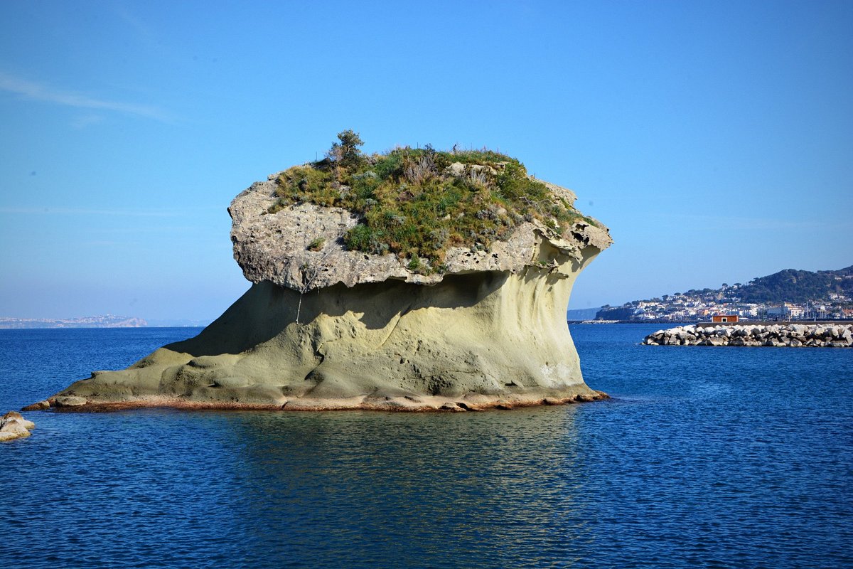 The Mushroom