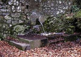 Otter Spring