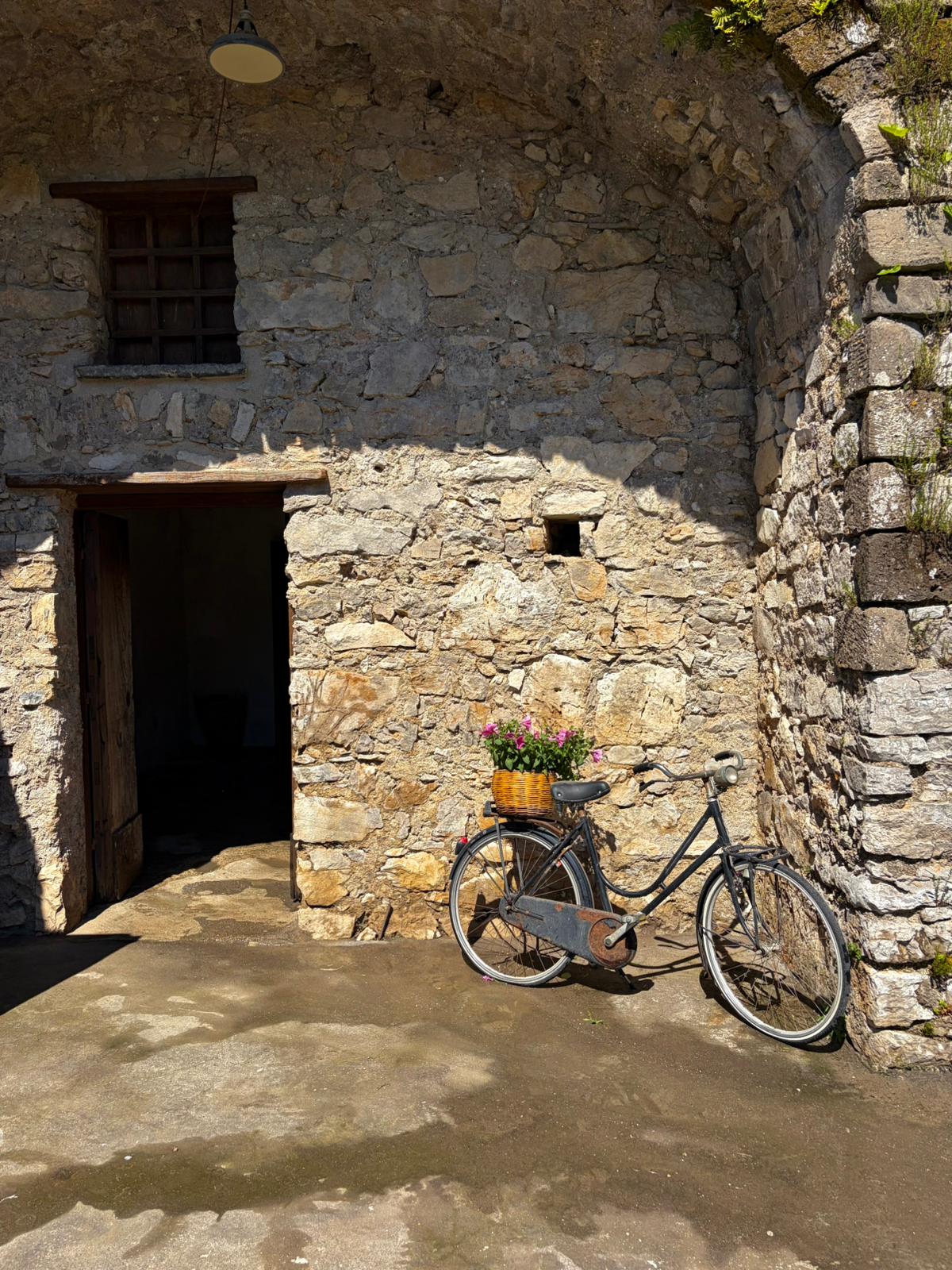 Wine Tasting: Crapolla Abbey photo 5
