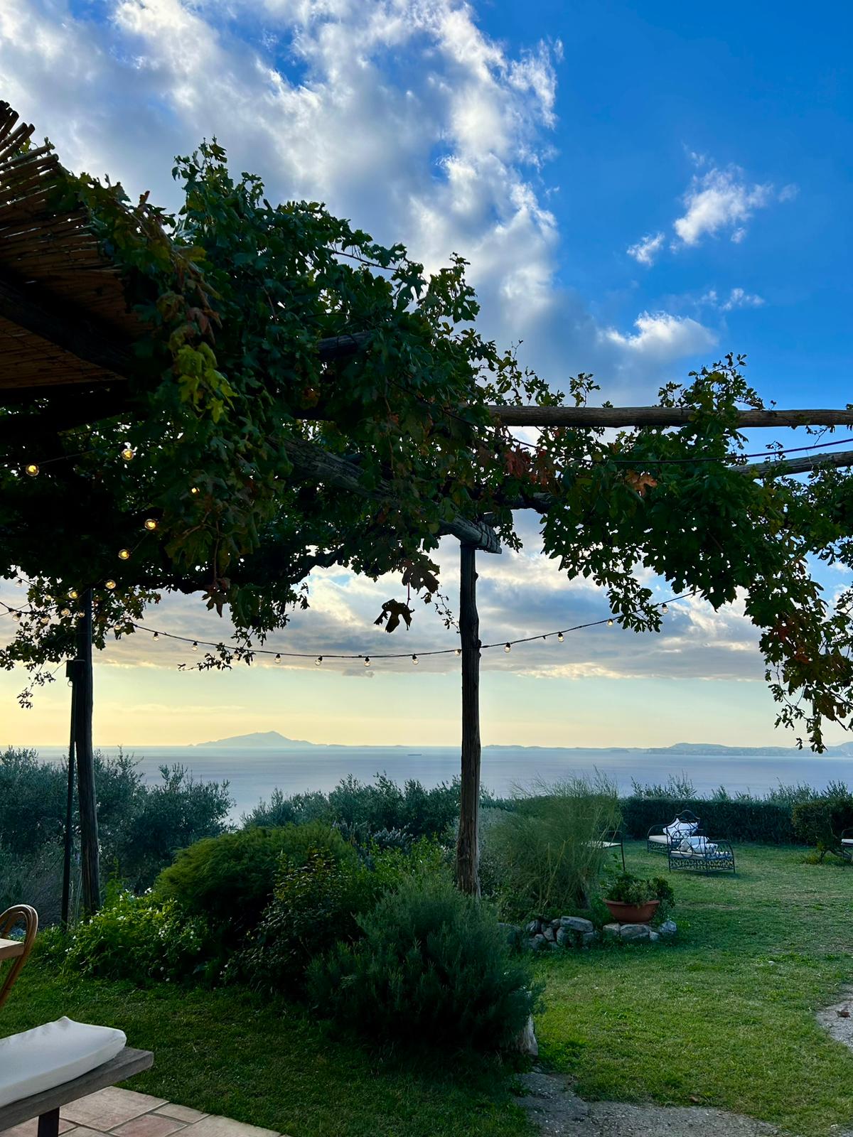 Wine Tasting: Crapolla Abbey photo 10