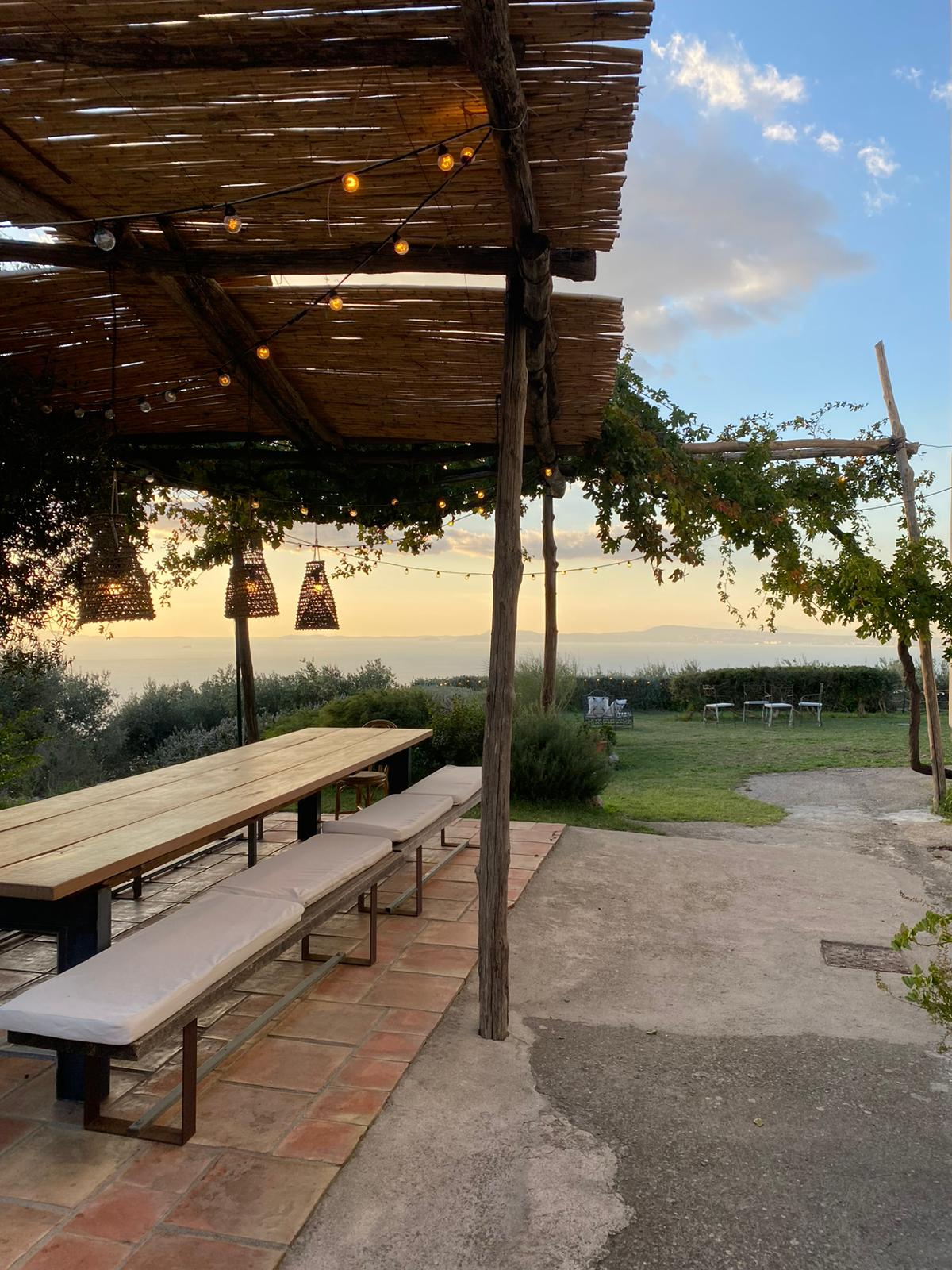 Wine Tasting Experience: with pick up photo 2
