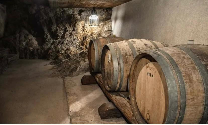 Wine Tasting Experience: with pick up photo 3