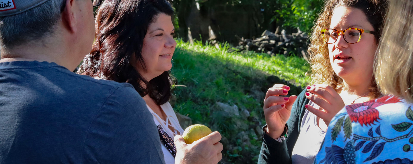 Olive grove tour with olive oil tasting photo 7