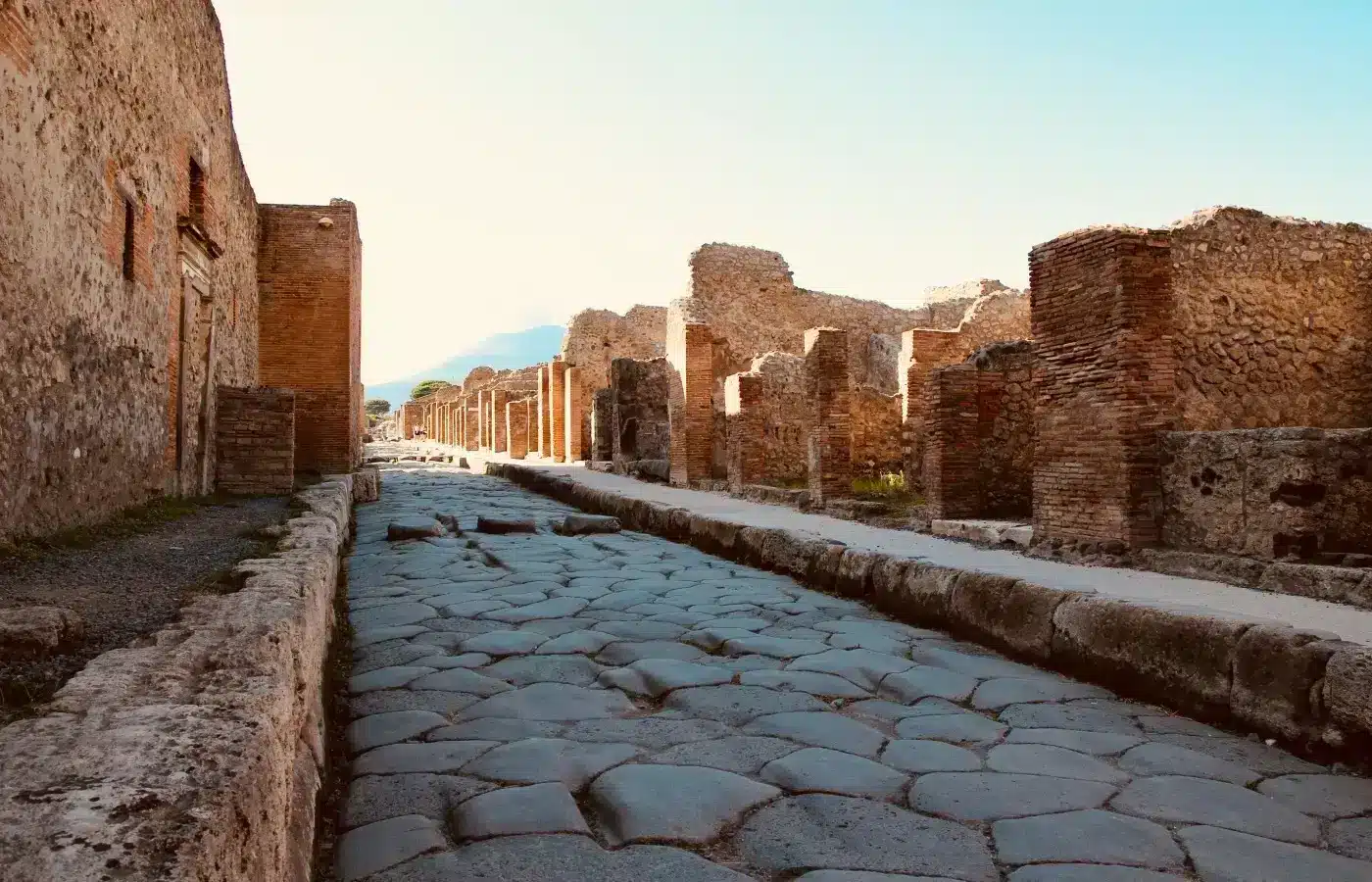 Pompeii and Vesuvius: Guided Tour with Lunch and Tickets Included photo 3