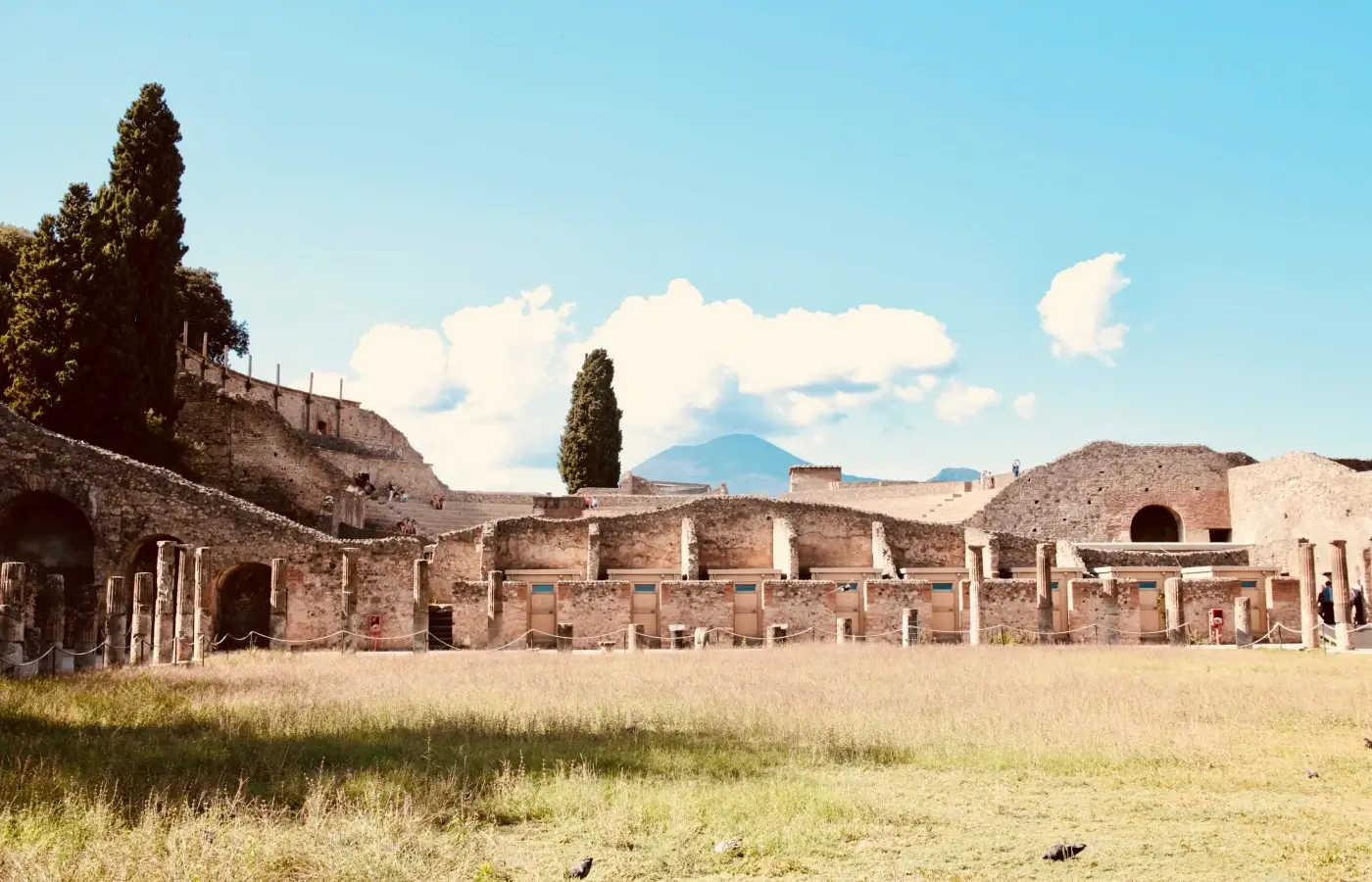 Pompeii and Vesuvius: Guided Tour with Lunch and Tickets Included photo 5