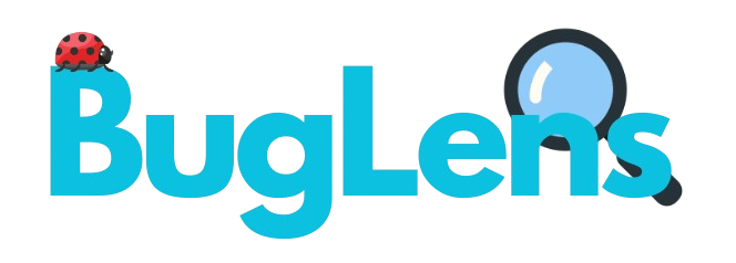 project pic