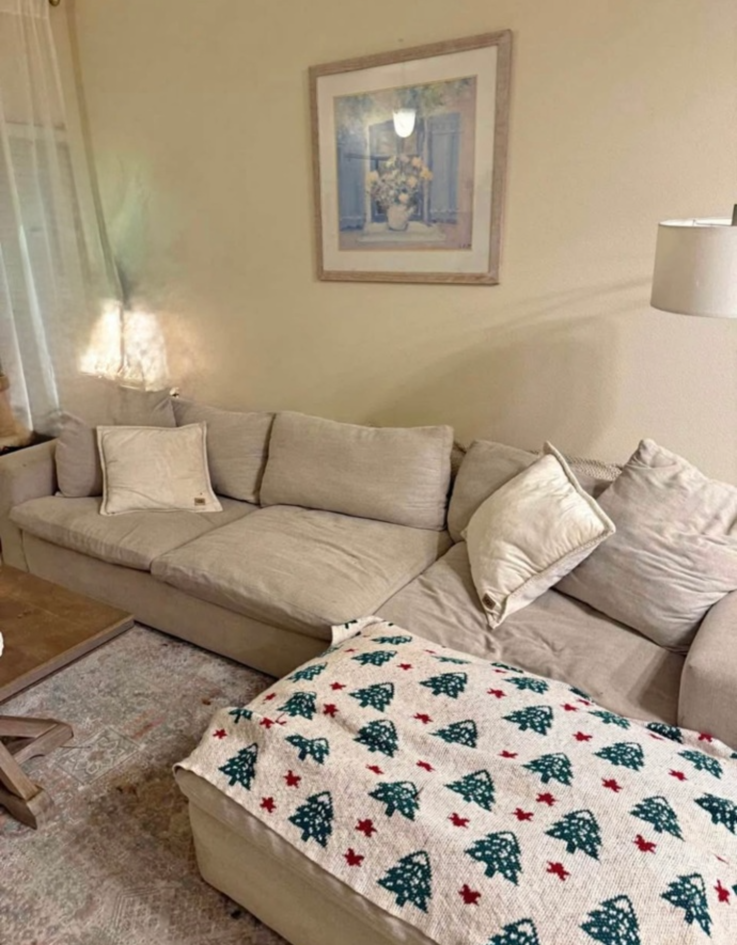 Sectional Couch Can Deliver Image #1 | Ivy Store