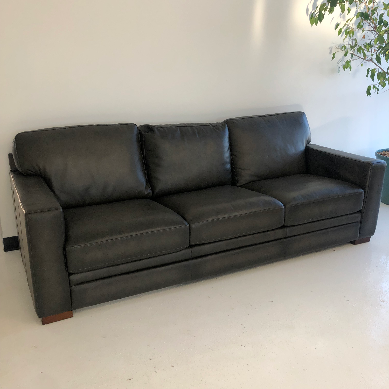 Luca Top Grain Leather Sofa 🚛DELIVERY AVAILABLE  Image #1 | Ivy Store