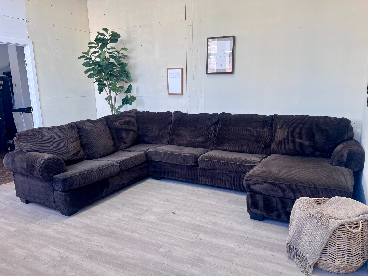 FREE DELIVERY! 🚚 - Chocolate Brown Fuzzy Corduroy Modern U Sectional Couch with Chaise image | Ivy Store