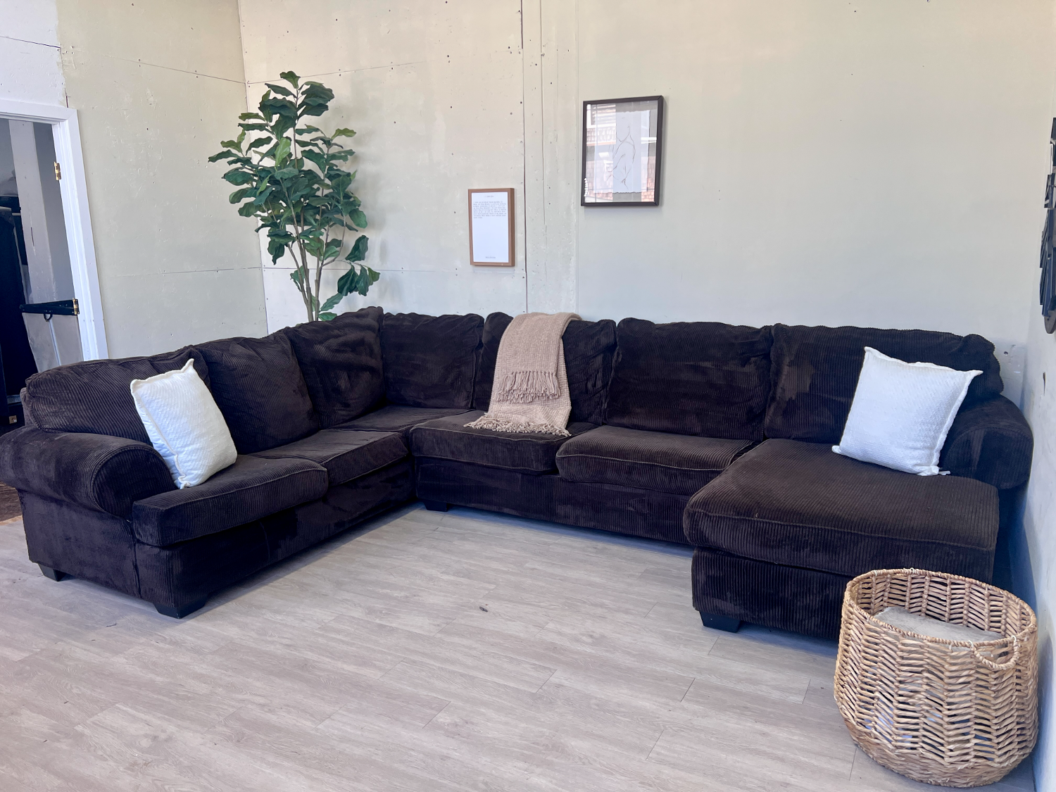 FREE DELIVERY! 🚚 - Chocolate Brown Fuzzy Corduroy Modern U Sectional Couch with Chaise image | Ivy Store