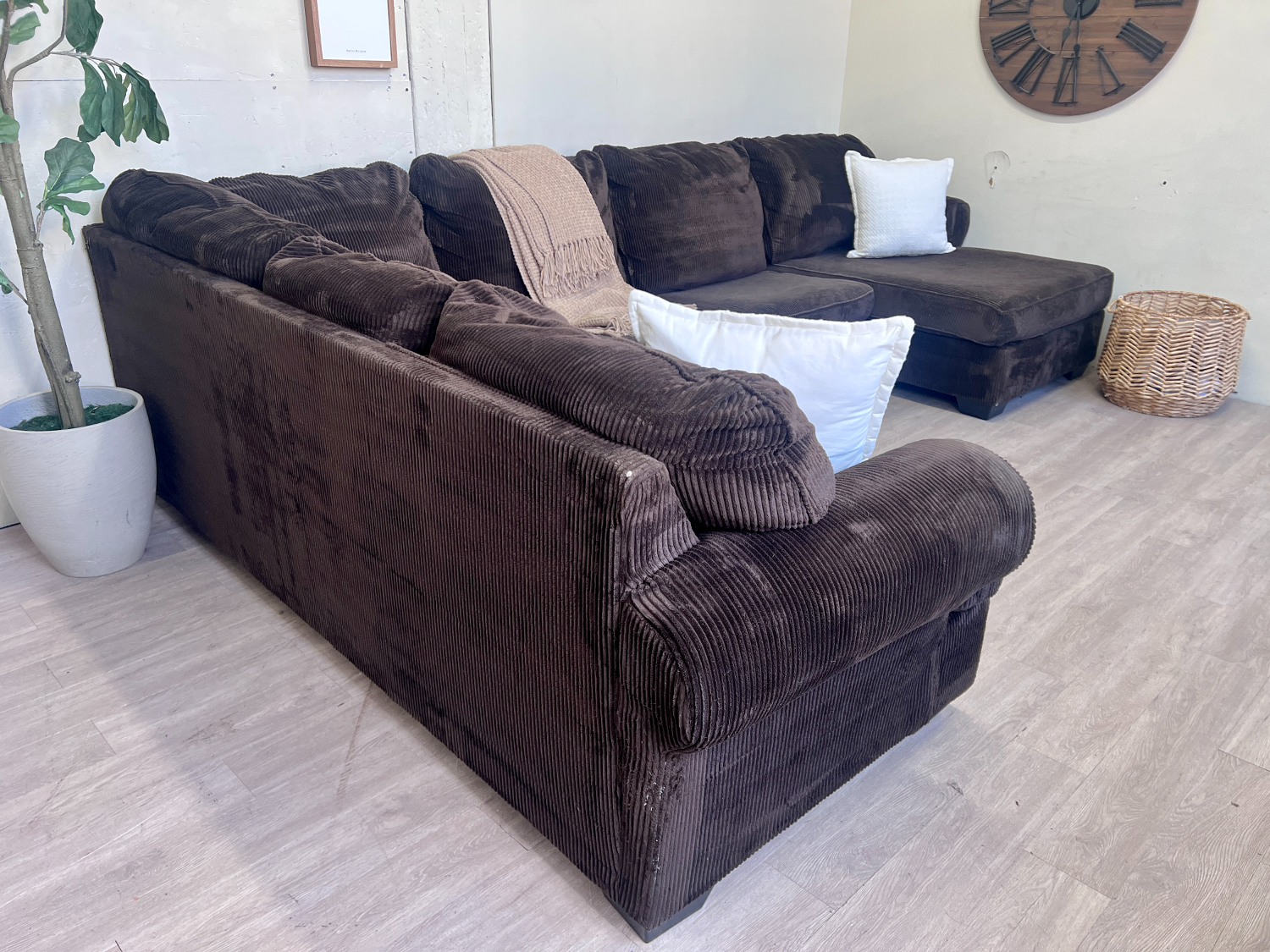 FREE DELIVERY! 🚚 - Chocolate Brown Fuzzy Corduroy Modern U Sectional Couch with Chaise image | Ivy Store