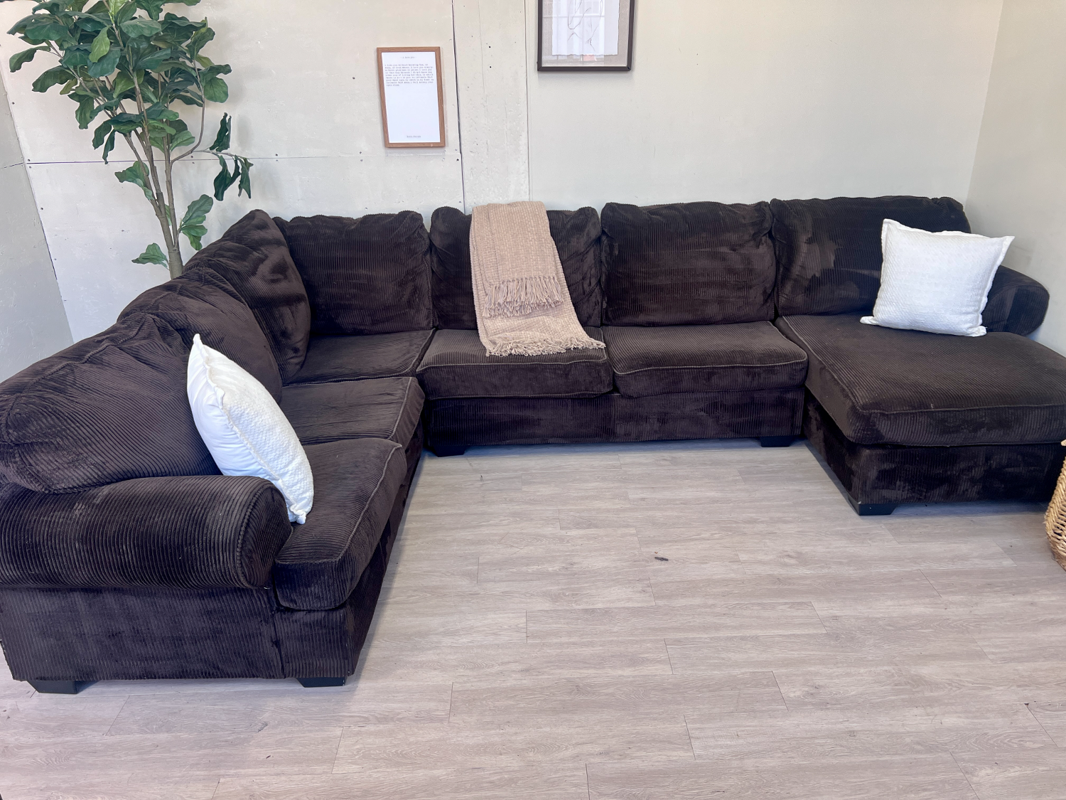 FREE DELIVERY! 🚚 - Chocolate Brown Fuzzy Corduroy Modern U Sectional Couch with Chaise image | Ivy Store
