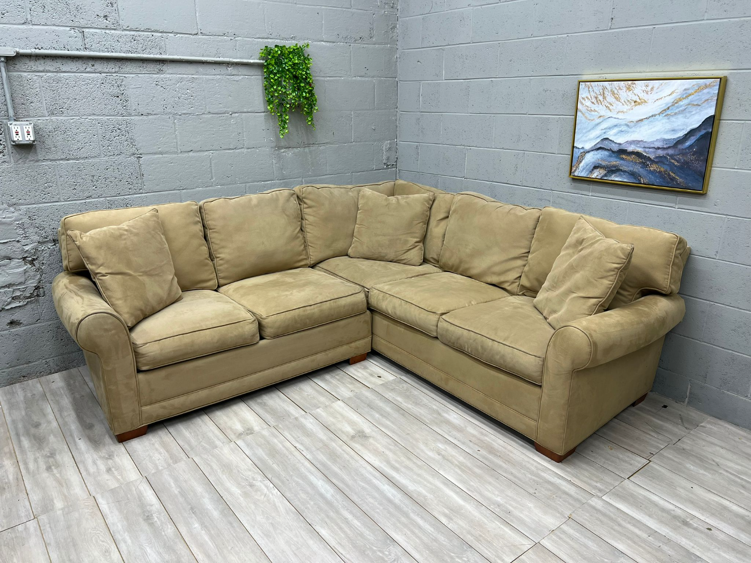 ( Free Delivery ) Large Light Beige Sectional Couch image | Ivy Store