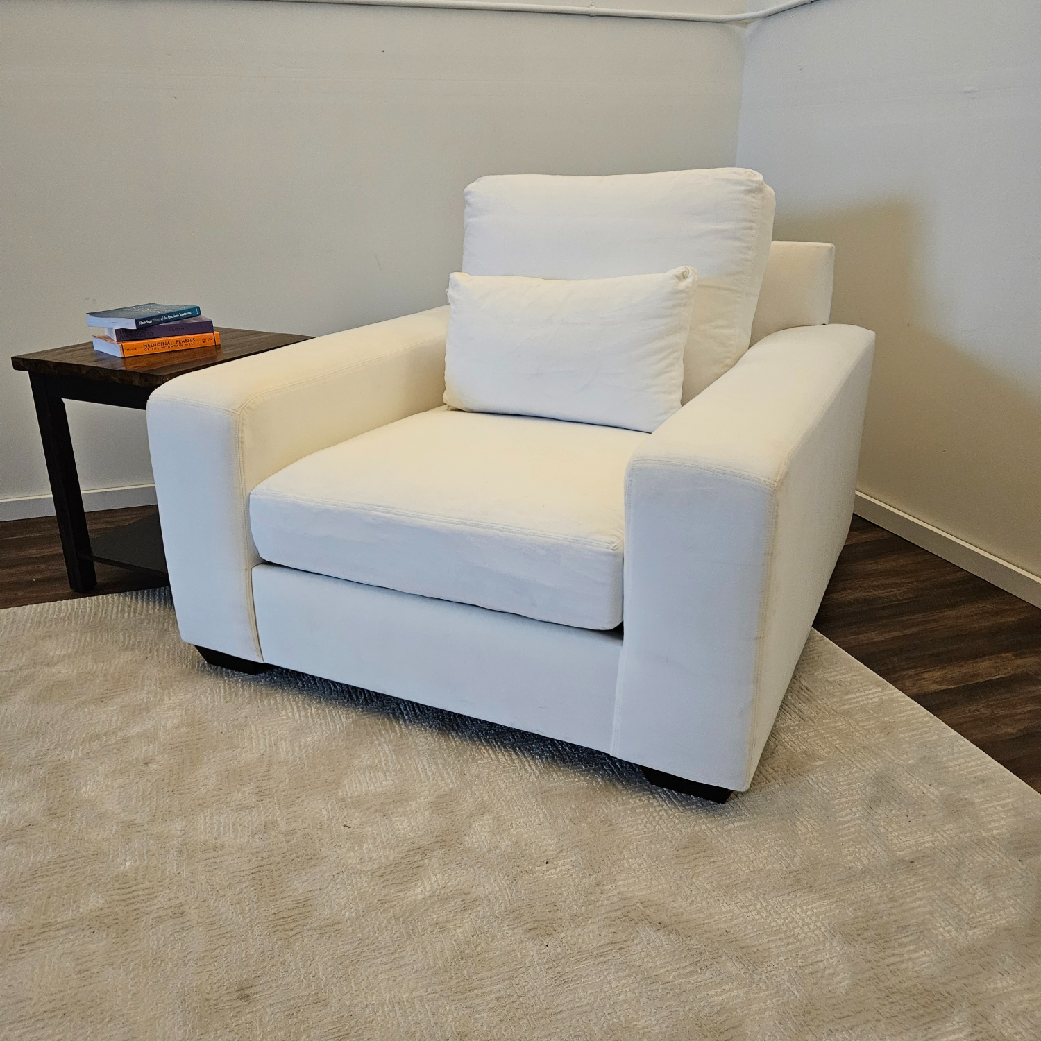 Accent Chair Pottery Barn - Free Delivery image | Ivy Store