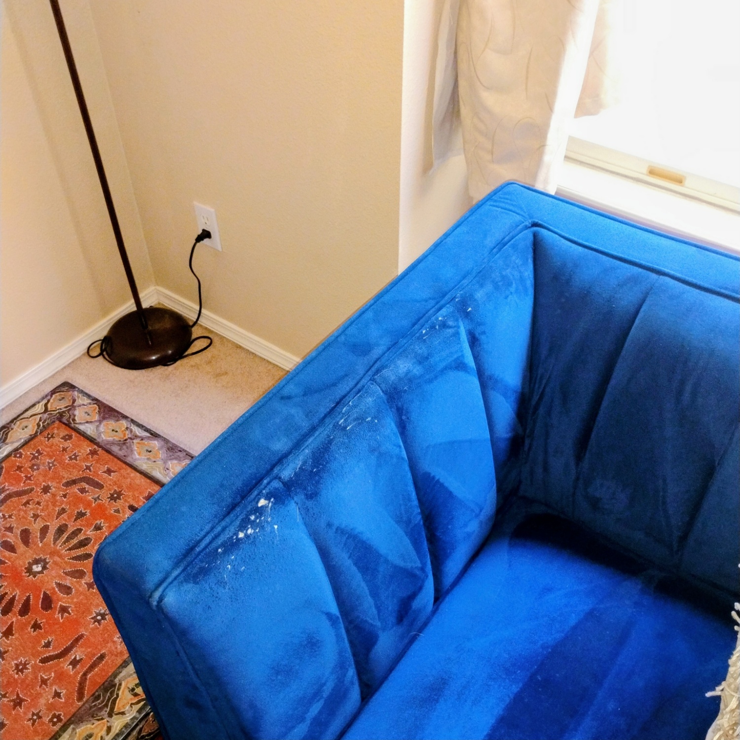 AFW Calais Royal Blue Velvet Sofa & Loveseat Set | 🚛 DELIVERY image | Ivy Store