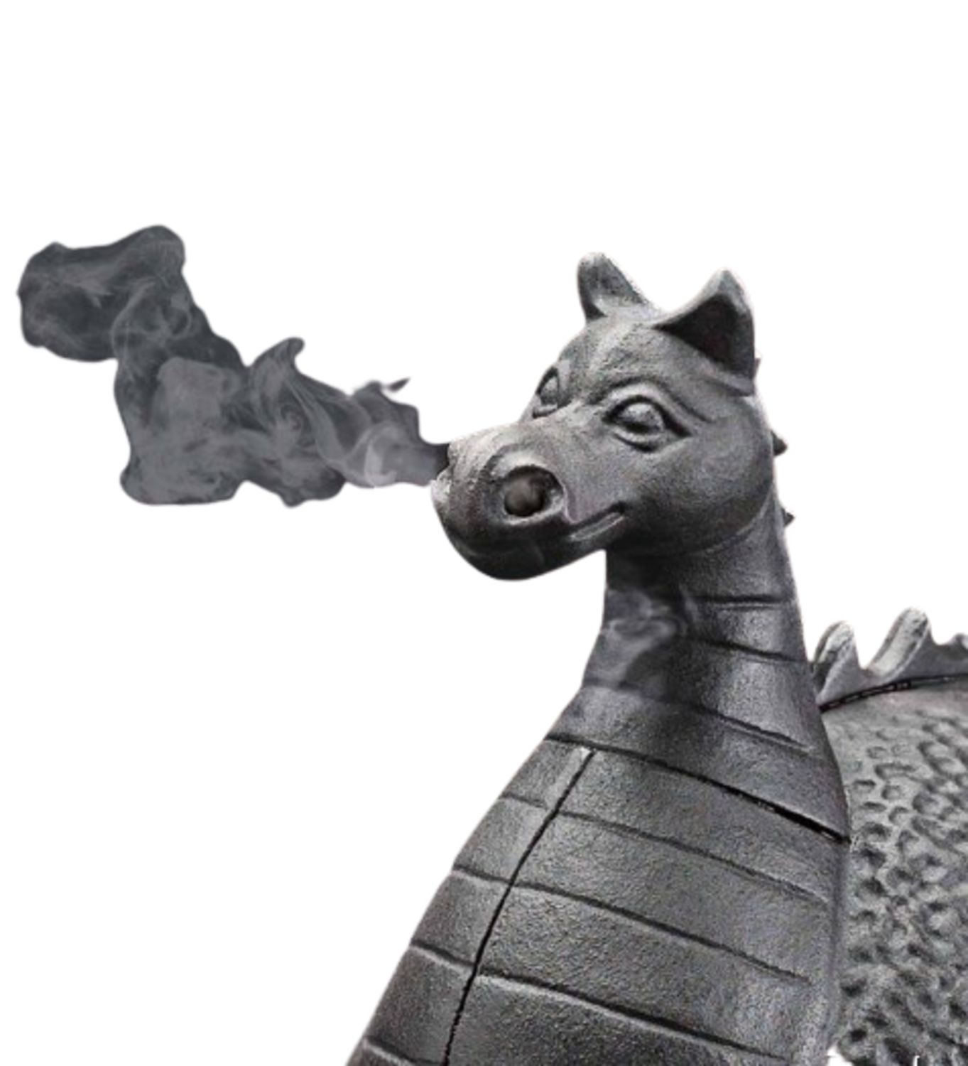 Cast Iron Rust Resistant Dragon Wood Stove Steamer in Matte Black image | Ivy Store