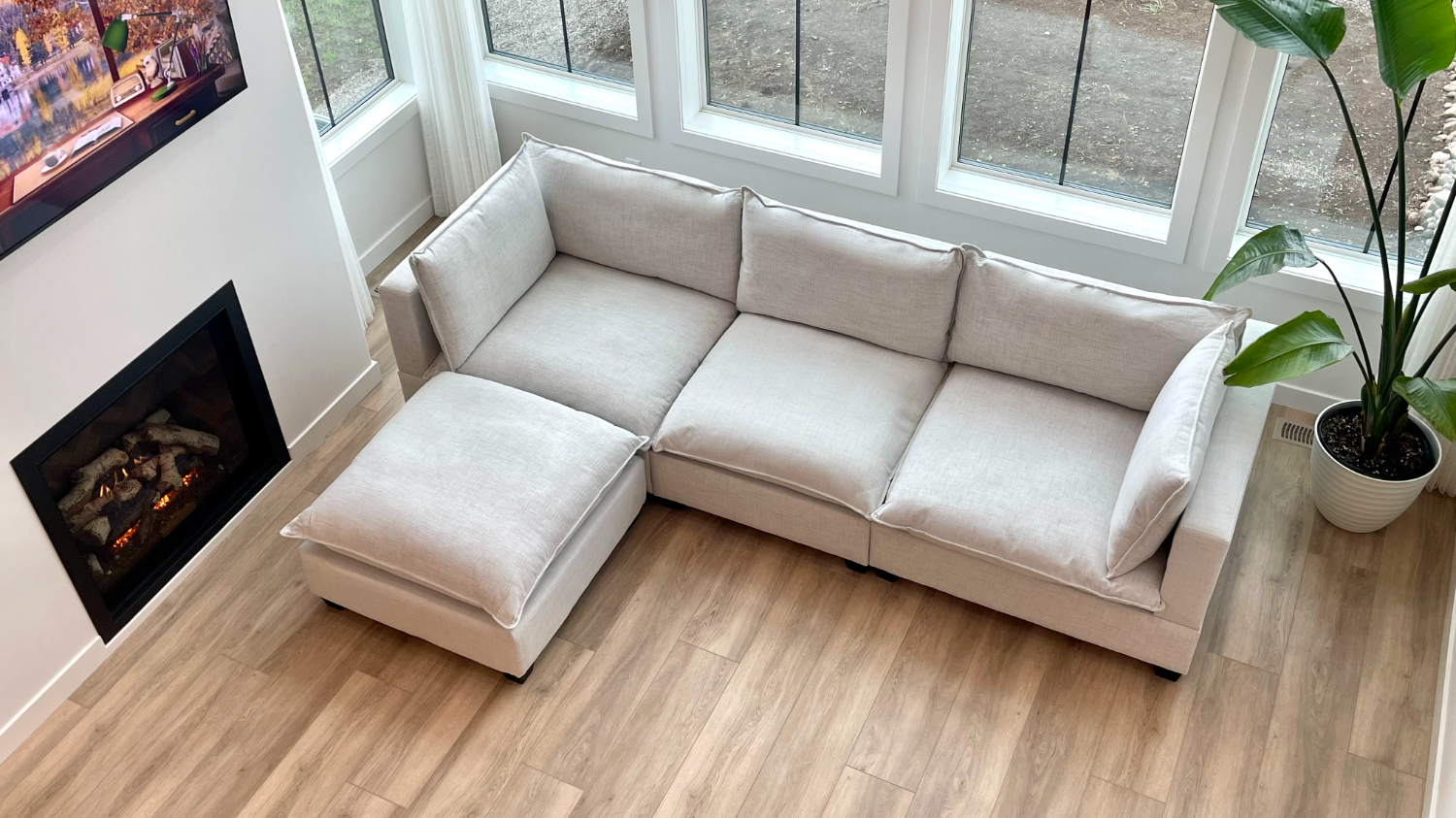 The Couch Dude | Ivy Store