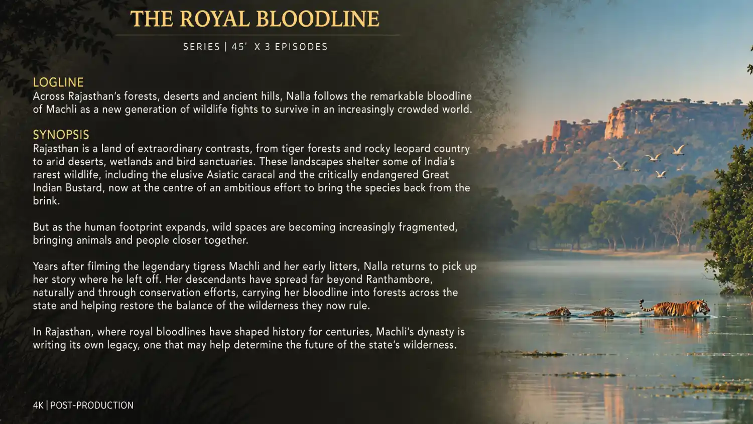 Maya - Royal Bloodline of Tadoba