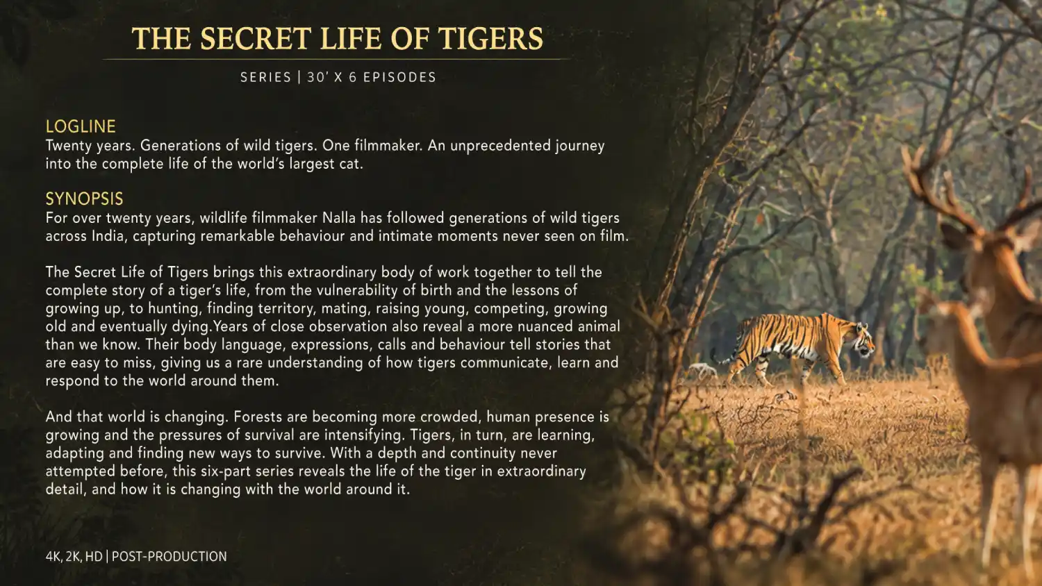 Secret Lives of Tigers