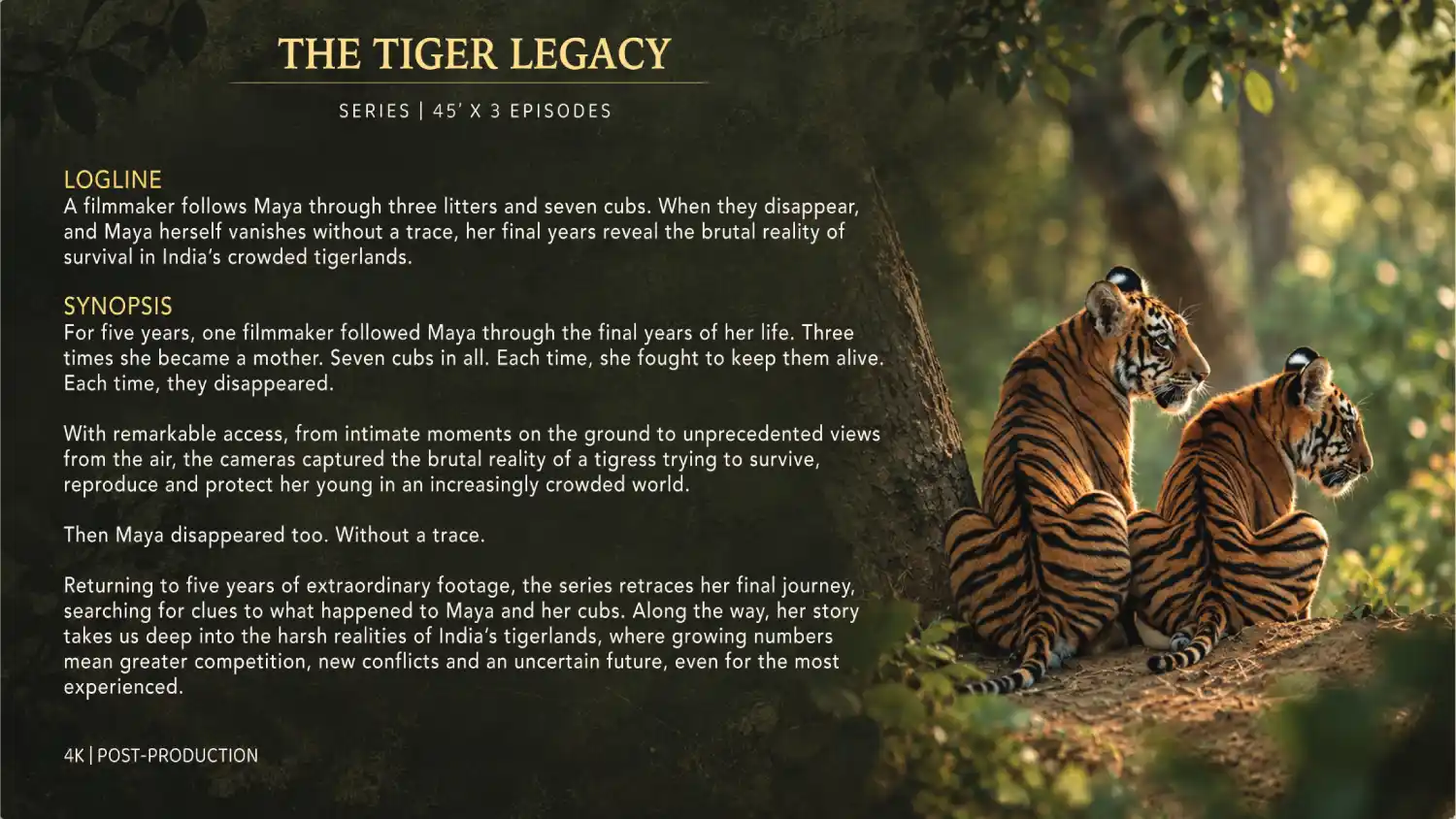 Tiger Legacy