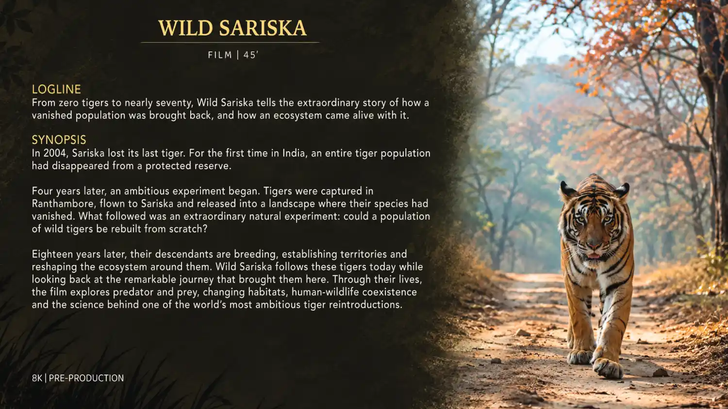 Wild Sariska