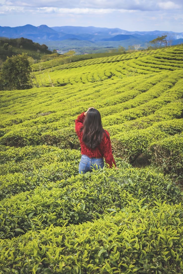 Short Break To Darjeeling thumbnail 4