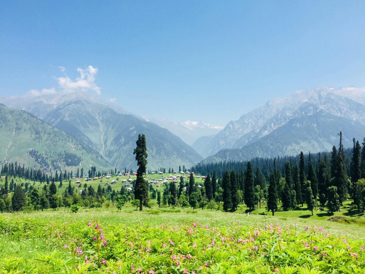 Alpine Kashmir Retreat thumbnail 5