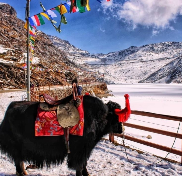 Sikkim Himalayan Escape – Gangtok & Pelling thumbnail 3