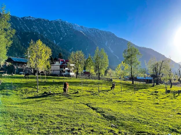 Your Dream Vacation Starts in Kashmir thumbnail 4