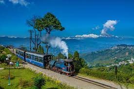 Darjeeling–Kurseong Tea Garden Escape thumbnail 3