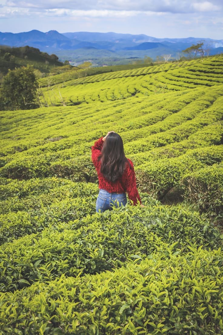 Hidden Gems of Sikkim Off beat thumbnail 5