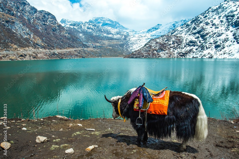 Eastern Sikkim Offbeat Tour Package thumbnail 2