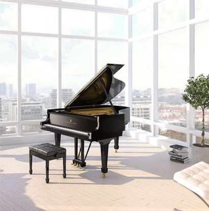 Steinway Model - a Salon Grand Piano. Known for delivering a Grand sound.