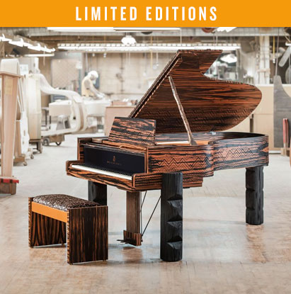 Read more about the Collaboration with World-Renowned Musician Lenny Kravitz and Steinway.