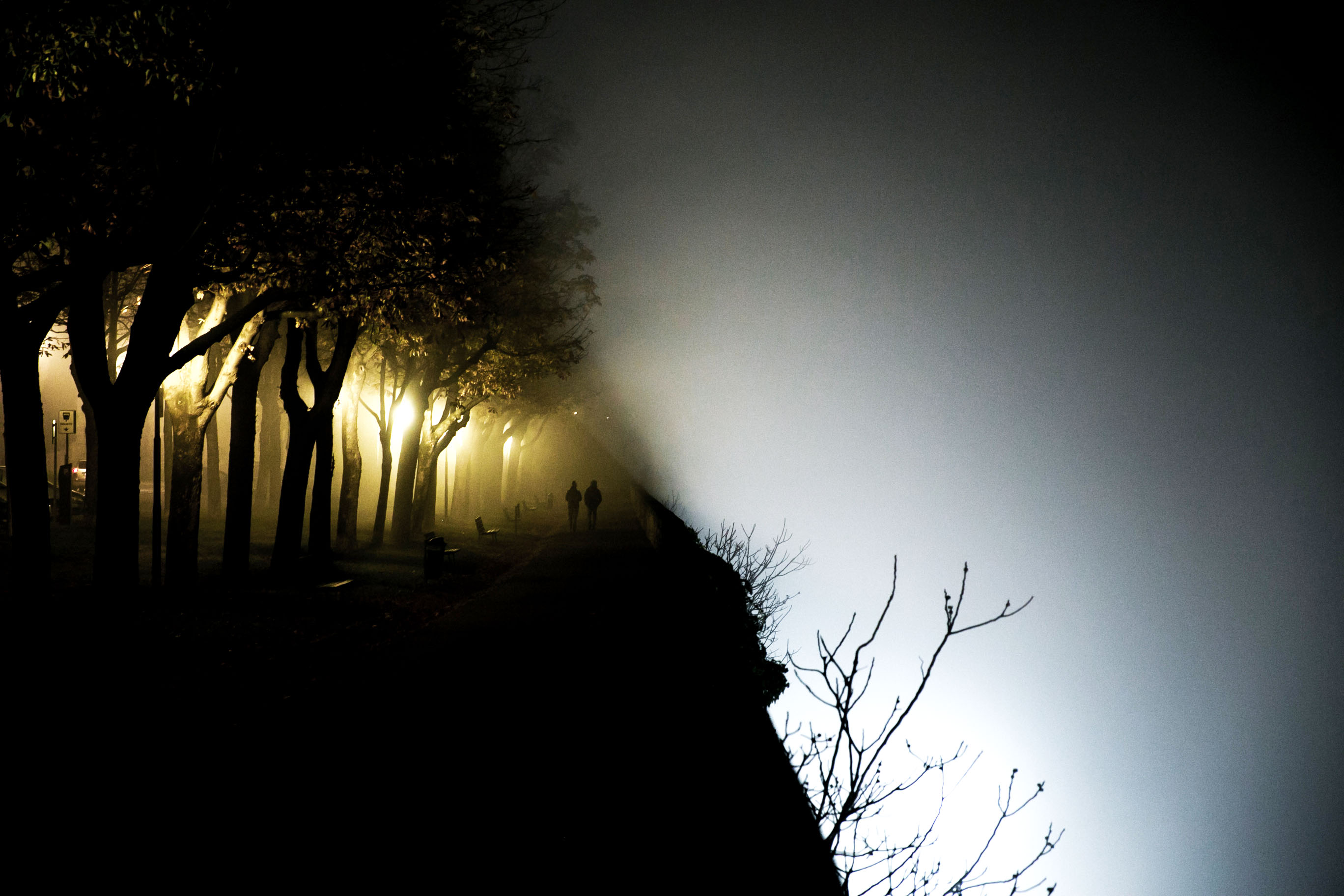 Nebbia e luce nel paesaggio notturno