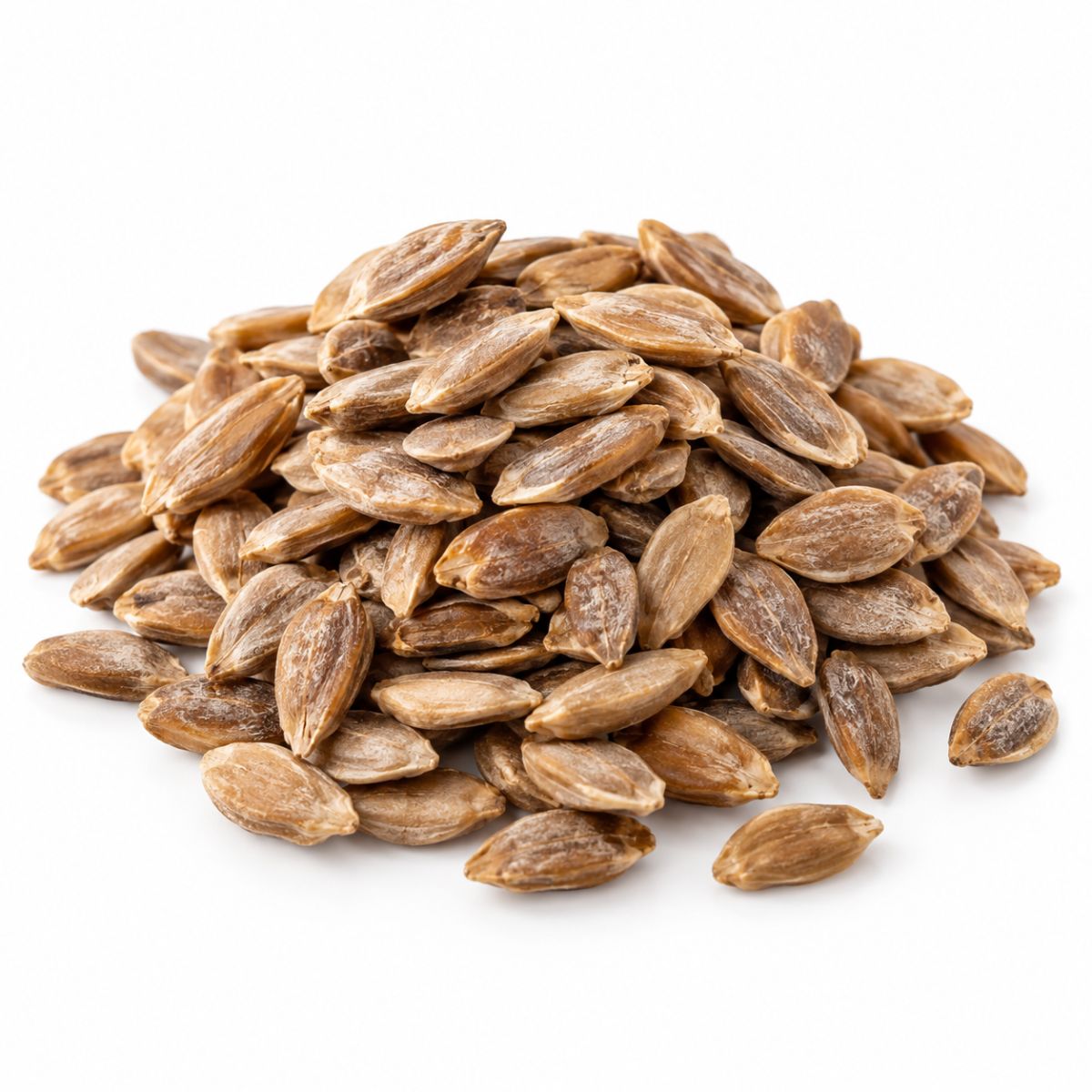 Seeds
