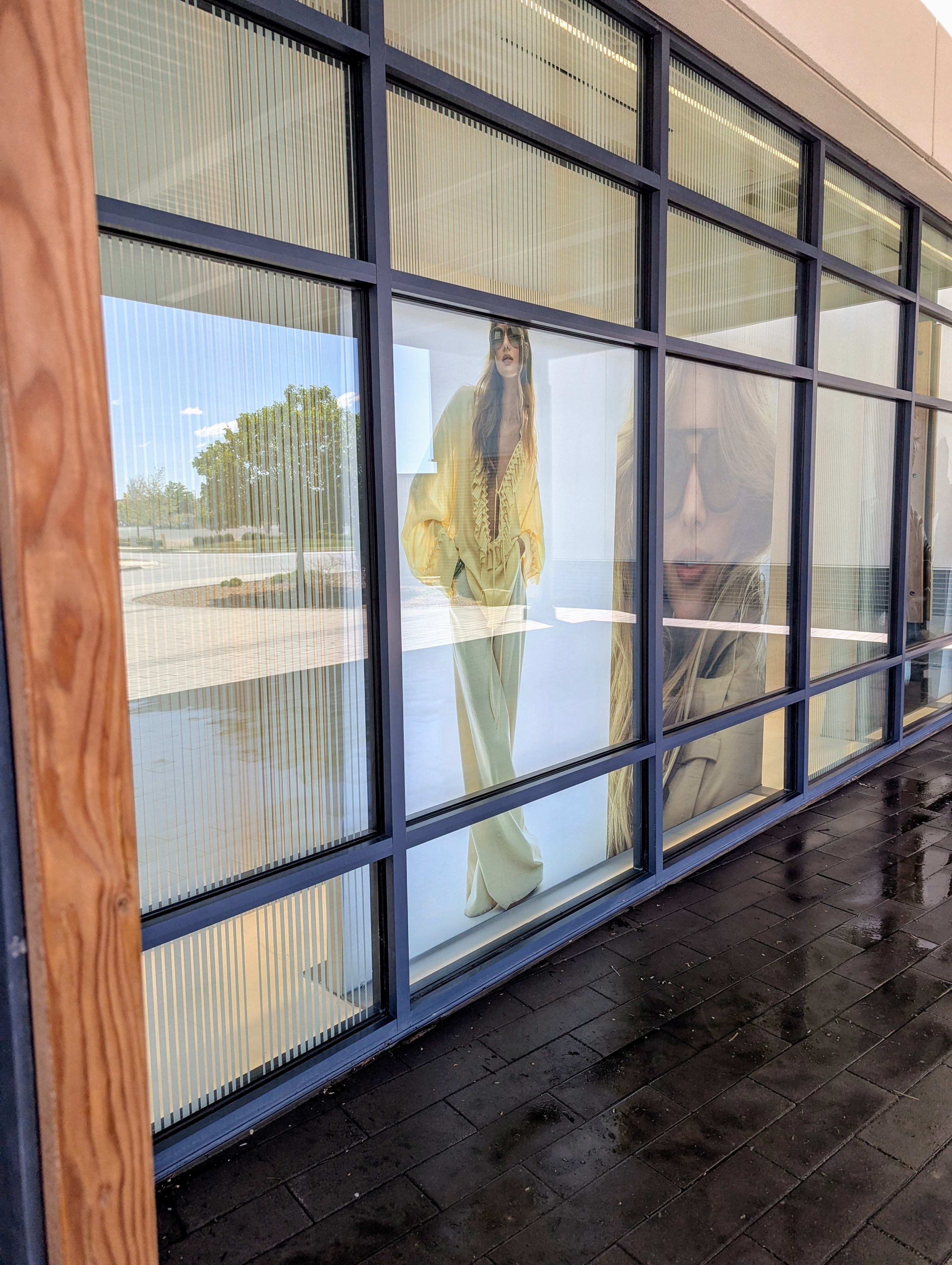 Window Cleaning