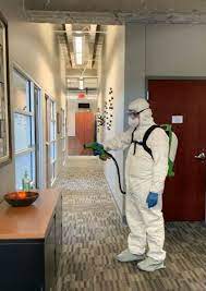 Electrostatic Cleaning