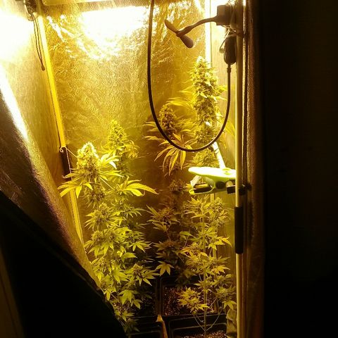W6 #4 growlog timeline photo