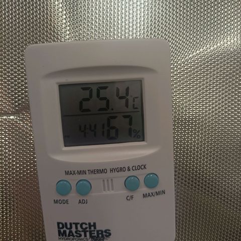 Bubble Gum growlog timeline photo