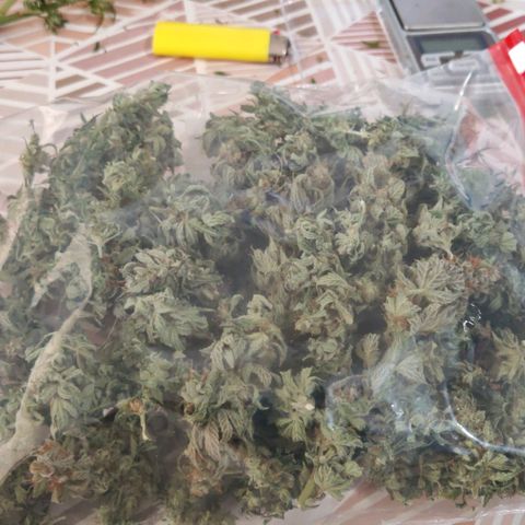 Critical Bilbo growlog timeline photo