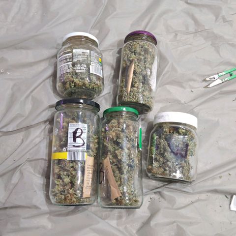 Critical growlog timeline photo