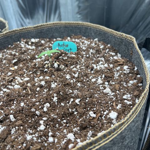 Arctic Sunset growlog timeline photo
