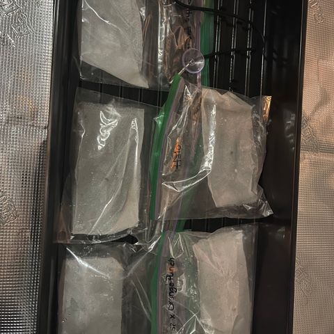 Back To The Future #2 growlog photo: Moved seeds that were soaking to paper towels
