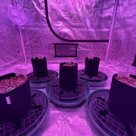 Back To The Future #2 growlog timeline photo