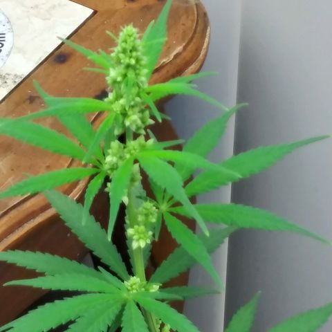 Super Mug growlog timeline photo