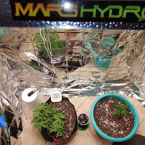 Hk auto growlog timeline photo