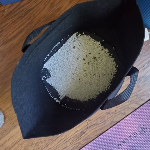 Foto do growlog de Green bean: Prepping for transplant. I put the perlite to cut down on sweating from the pot base without lifting the plant. Idk the science but I had something under the pot itself and it was a no. This is a short tent. 