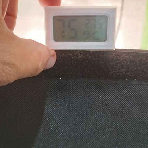 Anubis growlog photo: Temperatura e umidade dentro e fora 